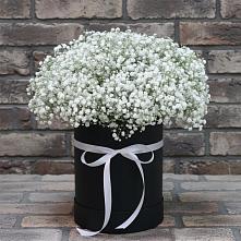 Композиция коробка гипсофил #REPLACE_PRED# Могойтуе Цветочная композиция из Гипсофила в шляпной коробке #REPLACE_PRED# Могойтуе